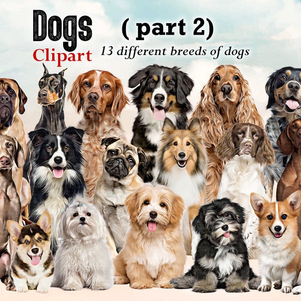 Dog Breeds sitting in front Clipart "DOGS CLIPART 02 " , Cocker Spaniel, Bernese Mountain Dog, Maltese ... Dog Lovers Clipart, Customizable