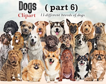 Dog Breeds Clipart: Customizable Dog Lover Art (PNG Digital Download)