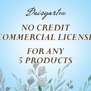 Limited Commercial License - Any 5 products