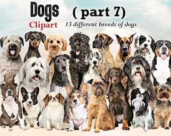 Dog Breeds Clipart: Dog Lovers PNG Graphics (Digital Download)