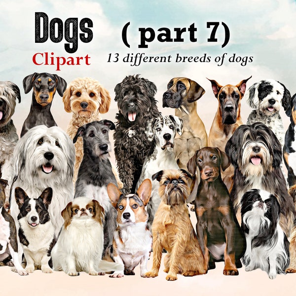 Dog Breeds sitting in front Clipart "DOGS CLIPART 07 " , Great Dane, Brussles Griffon, Dobermans, Yorkie...Dog Lovers Clipart, Custom Gifts