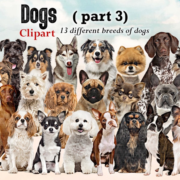 Dog Breeds sitting in front Clipart "DOGS CLIPART 03 " , Australian Shepherd, Boston Terrier, Papillon ... Dog Lovers Clipart, Customizable