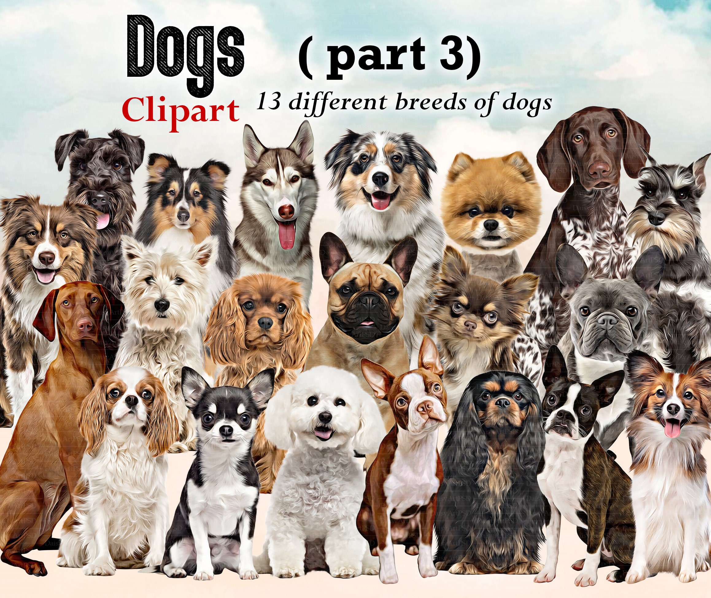 Top 10 Most Popular Dog Breeds In The World 2022 top10dogs