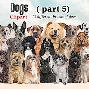 Dog Breeds sitting in front Clipart "DOGS CLIPART 05 " , Australian Cattle Dog.Cane Corso.Lhasa Apso ... Dog Lovers Clipart, Customizable