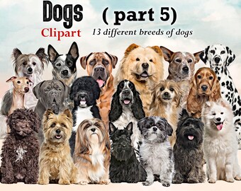 Dog Breeds Clipart: Customizable Dog Lover Art (PNG Digital Download)