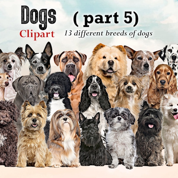 Dog Breeds sitting in front Clipart "DOGS CLIPART 05 " , Australian Cattle Dog.Cane Corso.Lhasa Apso ... Dog Lovers Clipart, Customizable