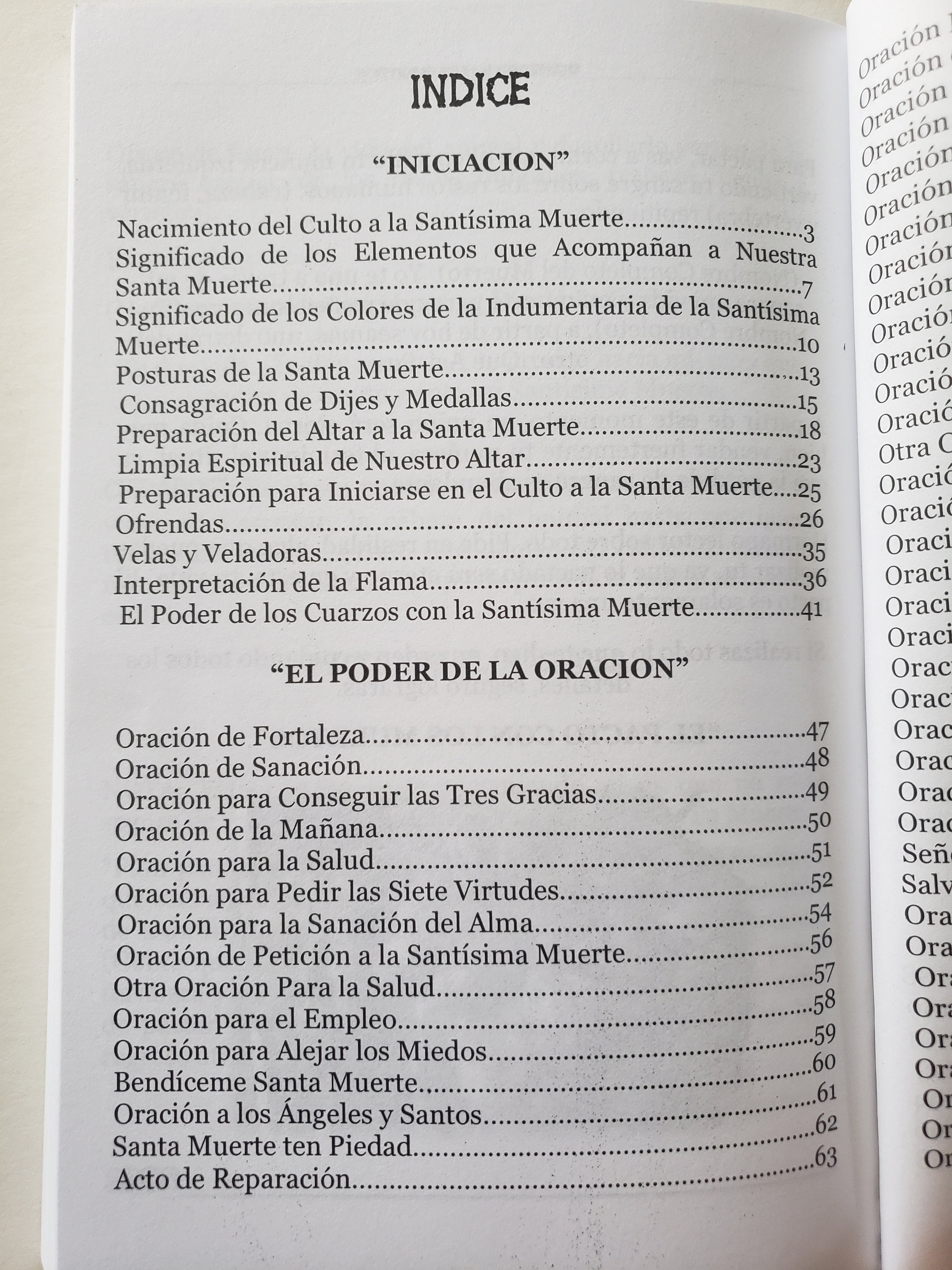 Sagrada Biblia De La Santa Muerte