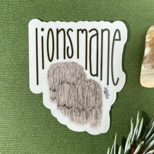 Lions Mane Mushroom Sticker | Cute mushroom stickers