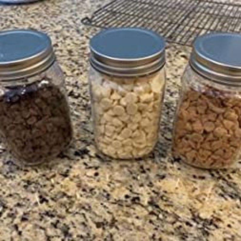 10PK 16 Oz. Plastic Mason Jars Metal Screwon Lids Etsy