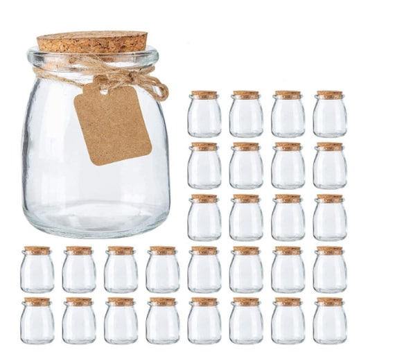 Small Mason Jars with Lids Set 8 oz. Set of 10, Bulk Pack - Glass
