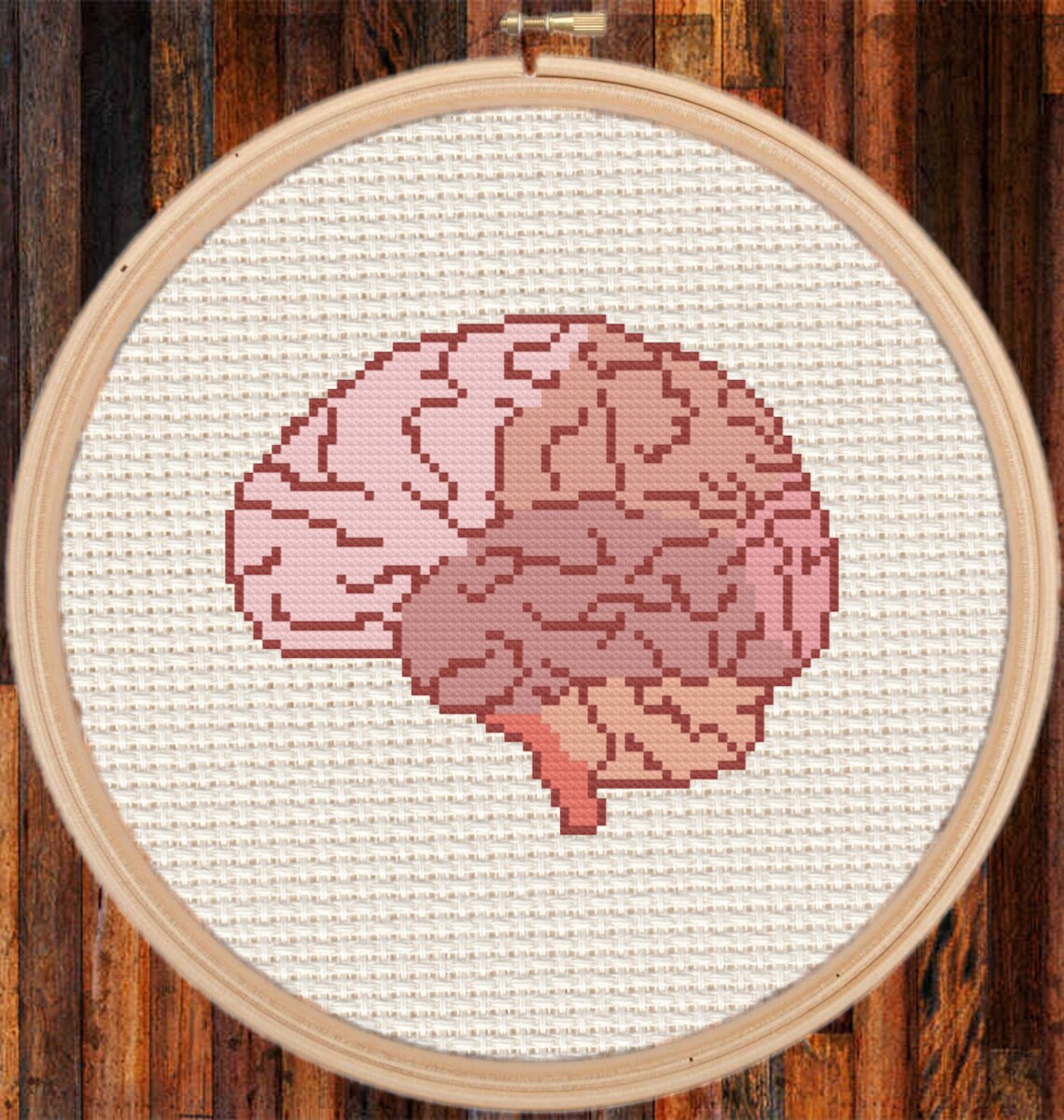 Brain Anatomy Cross Stitch Patternpdf ONLY Etsy