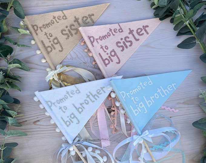 Big Sister Announcement Sign. DIGITAL FILE. Big Sister to Do List ...