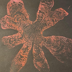 May include: A coral-colored ink print on a black background featuring the organic, radial texture of a tree stump cross-section. The design displays concentric growth rings and irregular, jagged edges that radiate outward from a central point.