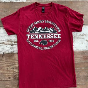 Great Smoky Mountains Tshirt Tennessee Gatlinburg Pigeon Forge Gildan M Medium