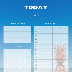 May include: A blue and white daily planner with the word "TODAY" at the top. The planner has sections for priority tasks, task dump, and time blocks. The time blocks are from 7am to 10pm. A pineapple is in the background.