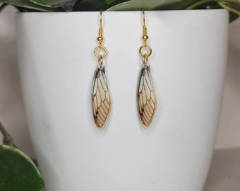 Cicada Wing Earrings | Etsy