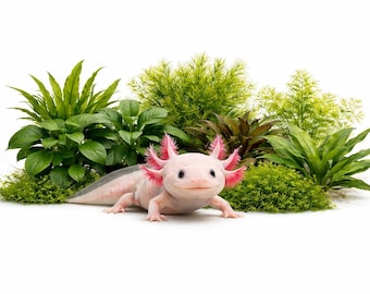 Axolotl Live Plants Bundle | Live Freshwater Aquarium Plants | Free Shipping