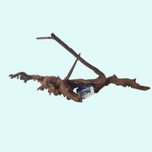 Natural Pacific Wood for Aquascaping: Live Aquarium Plants, Decorative Driftwood, Freshwater Decor - BUY 2 GET 1 FREE, Free Shipping