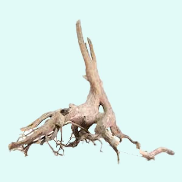 Natural Driftwood | SpiderWood - EXTRA SMALL | Aquarium Spider Wood Decoration Terrarium Freshwater Planted Tank Plants Aquascape Hardscape