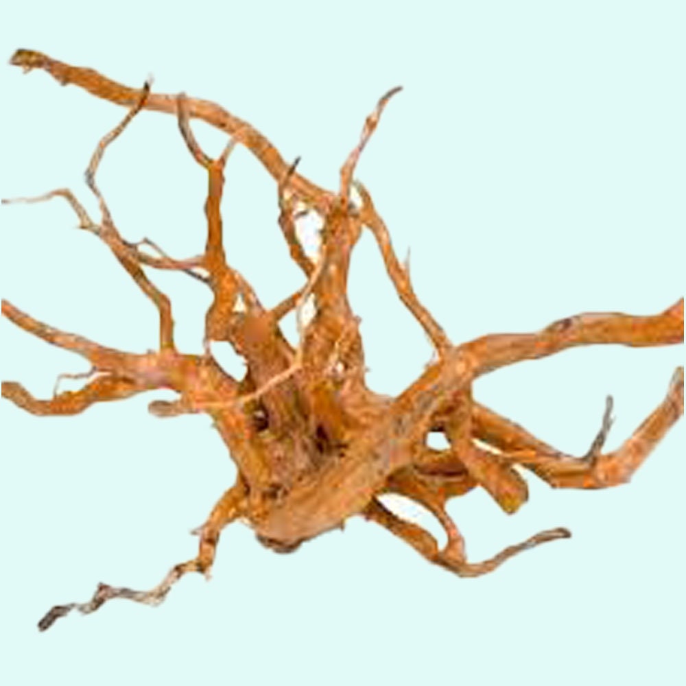 driftwood aquarium terrarium 11×11 sprawling spiderwood root