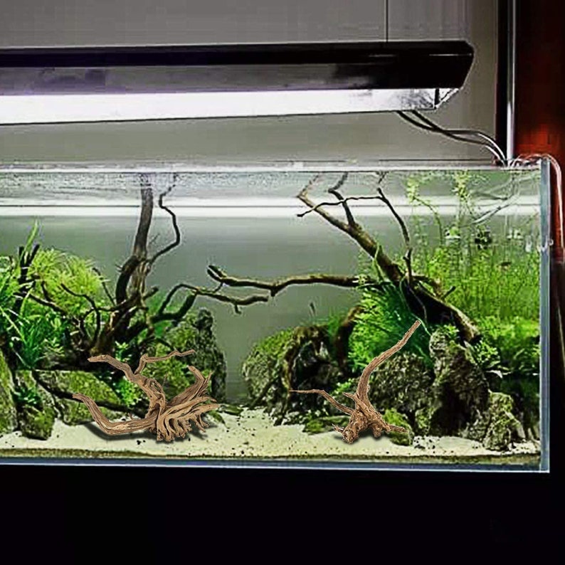 Natural Driftwood Spiderwood Aquarium Spider Wood Etsy