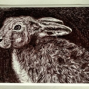 Hare illustrative wall art