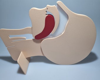 Head Section Model