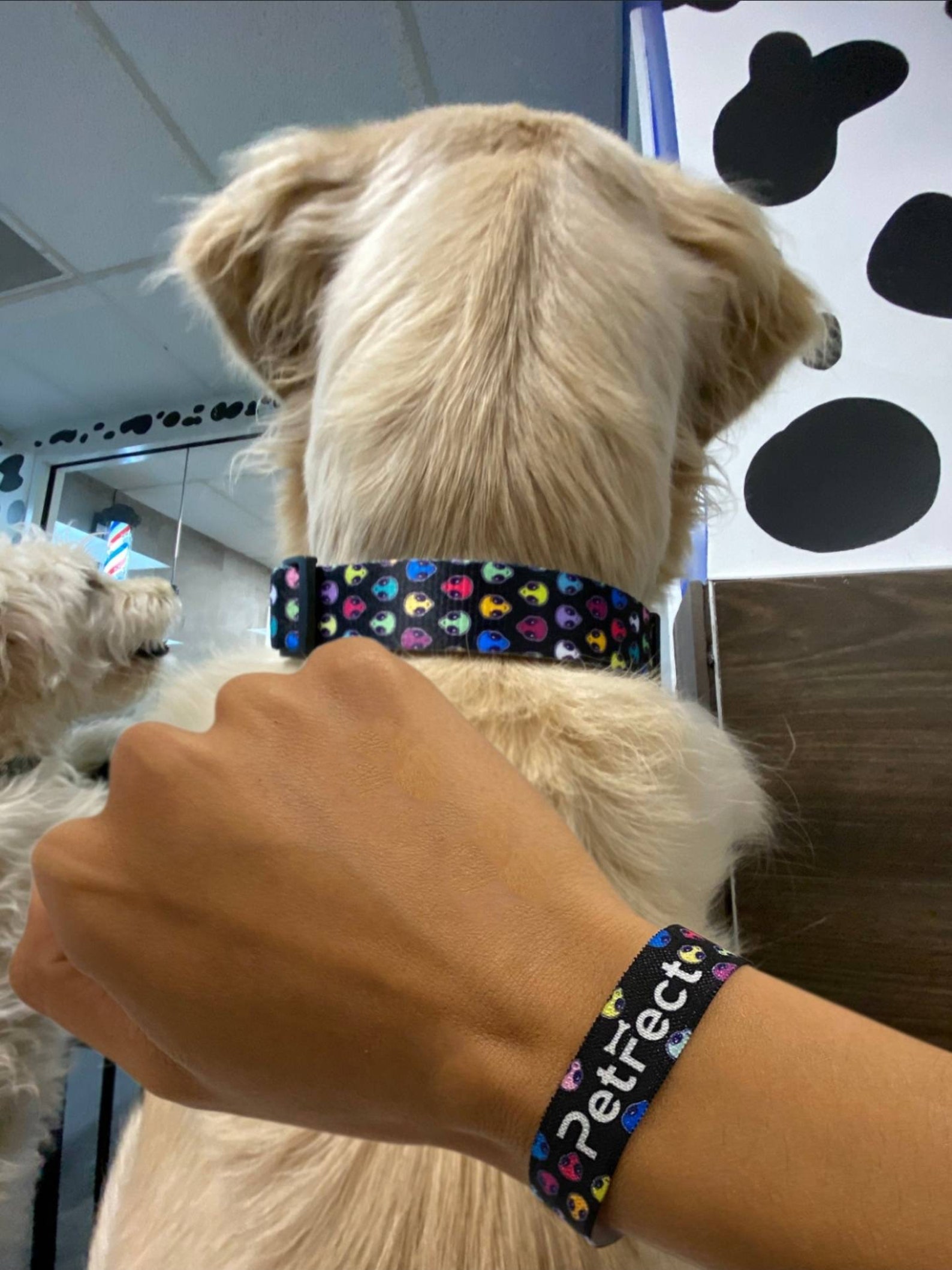 Dog collar and Bracelet for owner CUSTOMIZABLE Dog mom Etsy