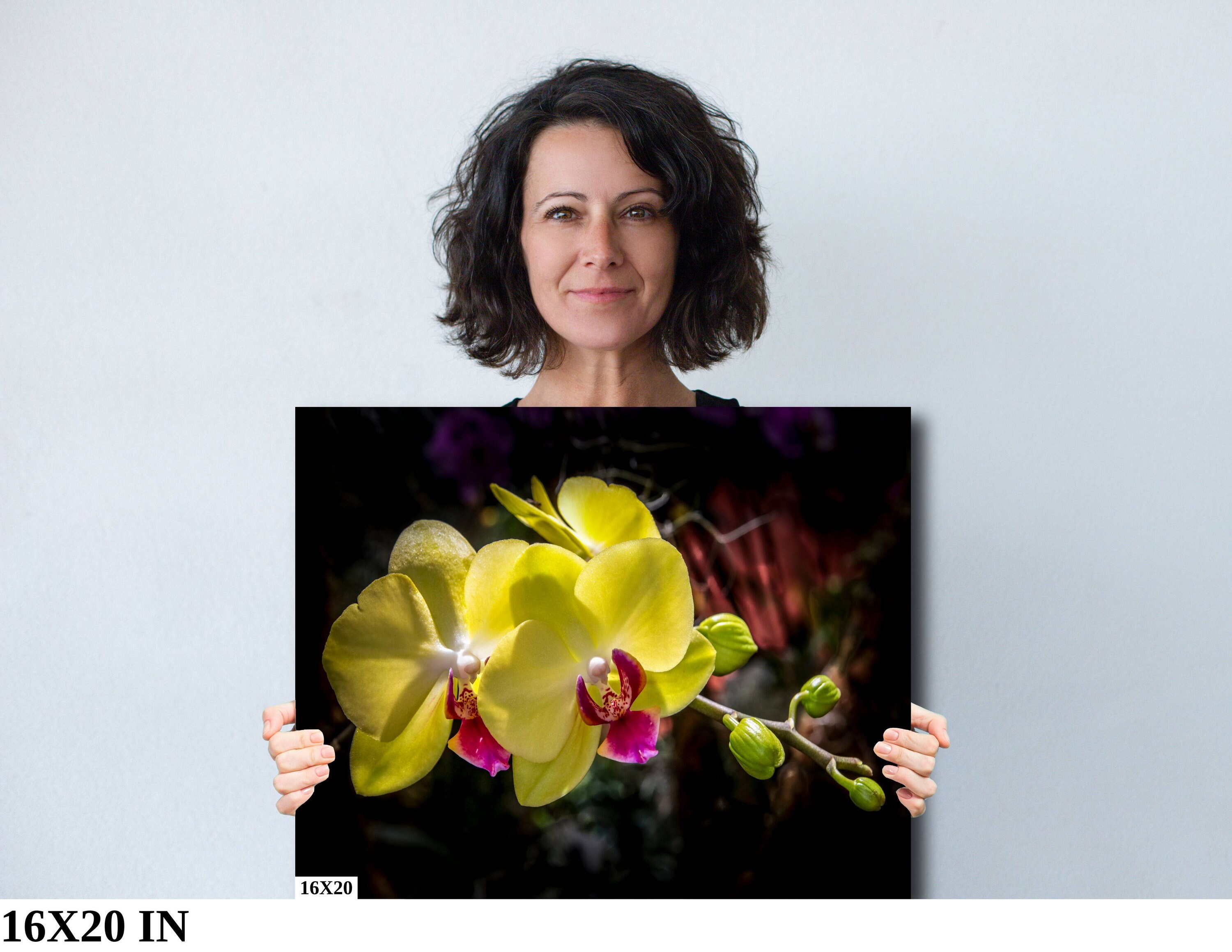 Yellow Moth Orchid Photo Print: Botanical Macro Wall Art - Etsy