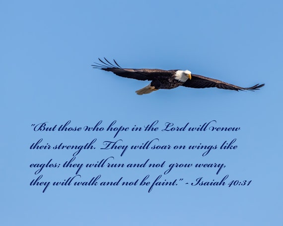 Bible verse Wings like eagles, Isaiah 40 31 Bible Verse, Those who hope in  the lord will renew their strength, Isaiah 40 31, Christian gifts for women,  Bible verse - Wings Like Eagles - Sticker