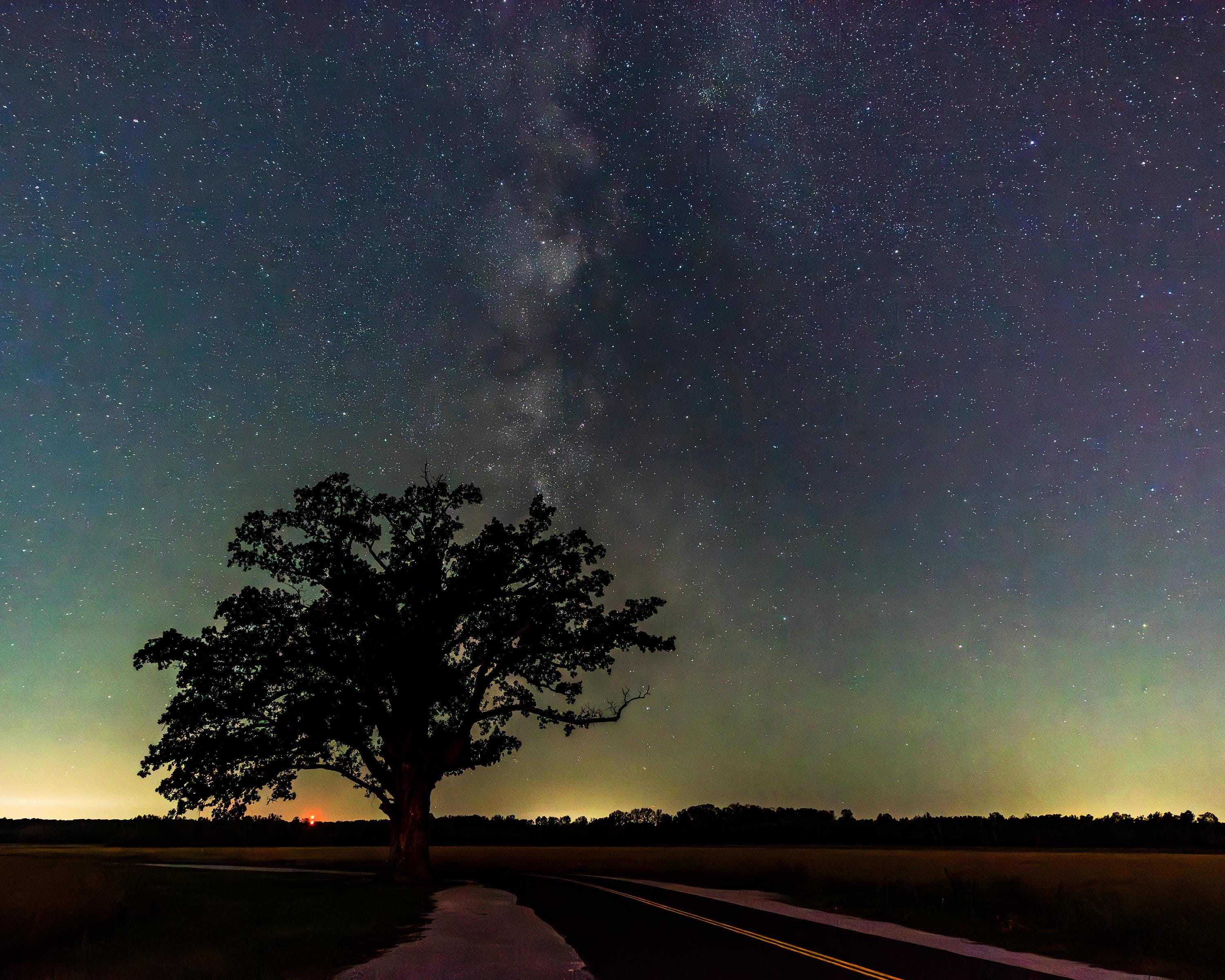 Milky Way Galaxy Print: Mcbaine Bur Oak Tree, Missouri Night Sky