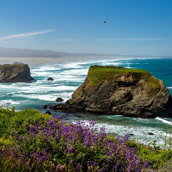 Sea Stacks and Surf - Gleason Beach - the Northern California Coast - wildflowers - sea clifts - panoramic view - coastal fog - sea bird