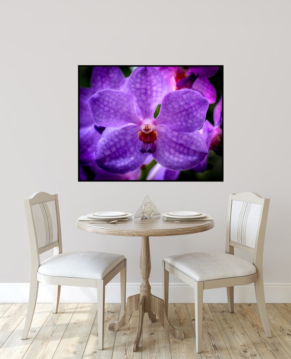 Une superbe fleur dorchidée vanda violette domine ce portrait - Etsy France