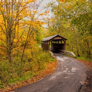 Puede incluir: Un puente cubierto de madera con un camino que conduce a él. El puente está rodeado de árboles con hojas amarillas.