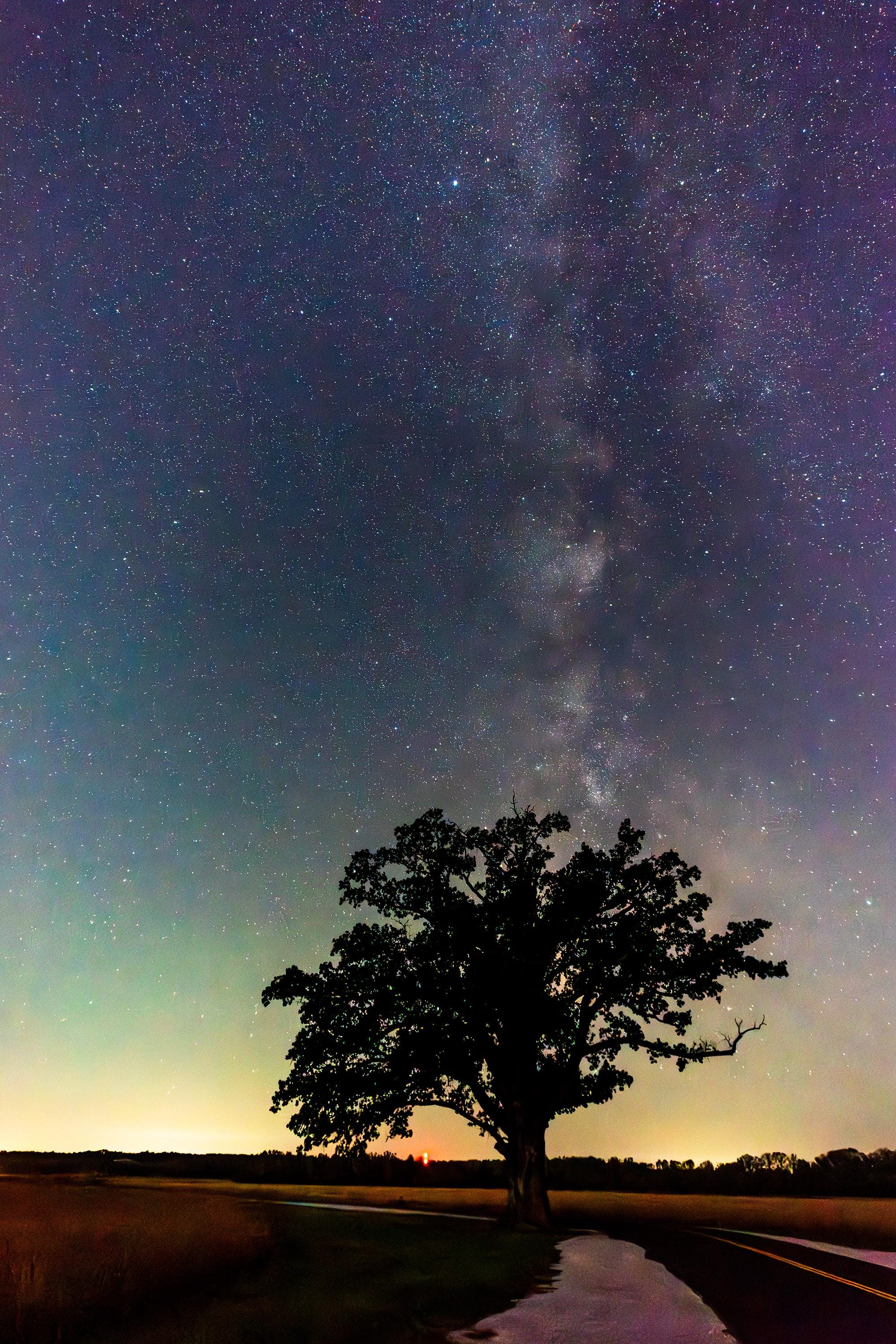 Milky Way Galaxy Print: Mcbaine Bur Oak, Missouri Night Sky - Etsy