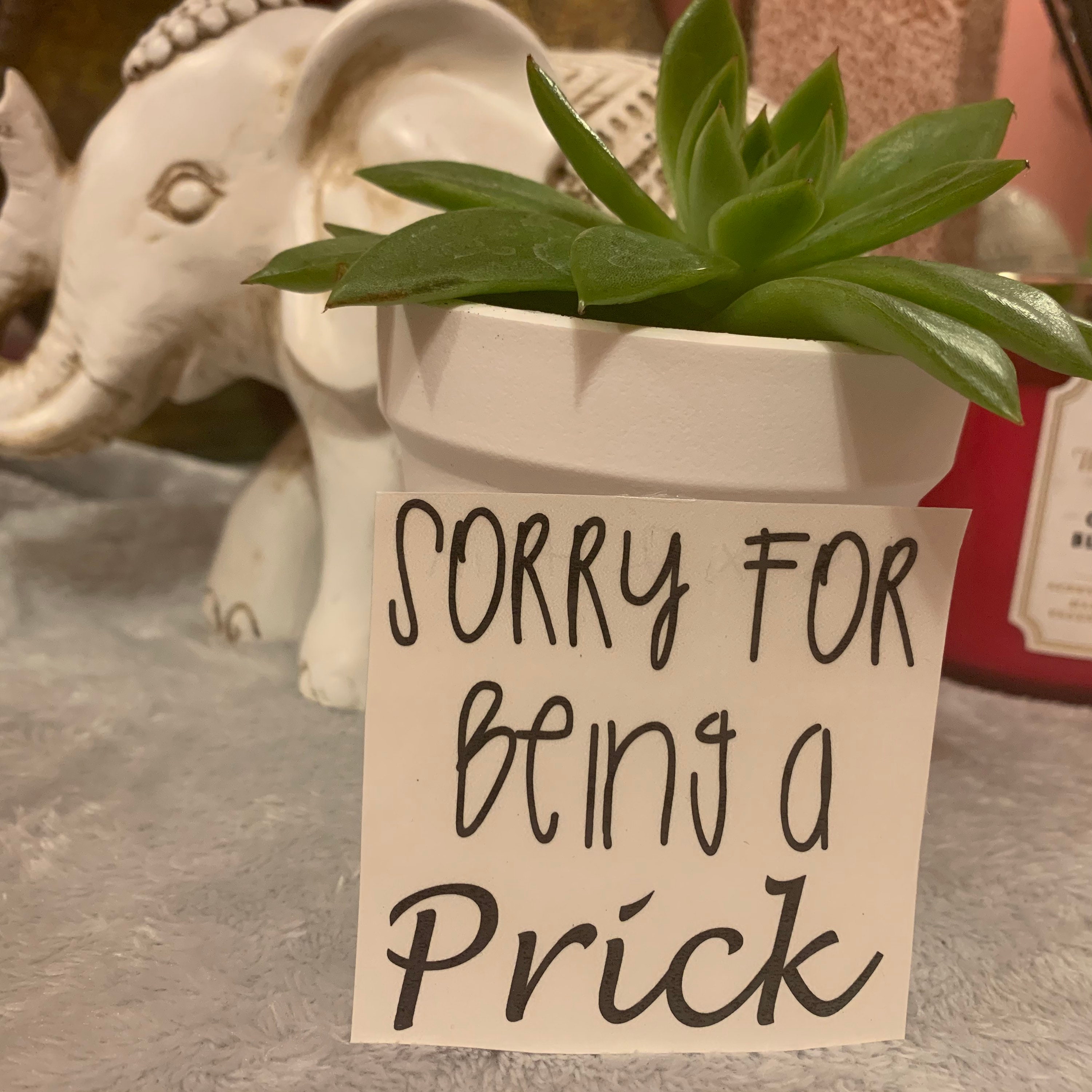Premade white planters with funny sayings Etsy