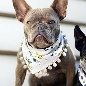 Bumblebee Reversible Bandana | Cute Yellow and Gray Spring Floral Garden Rifle Paper Company Bandana for Dogs and Cats with Bees and Flowers