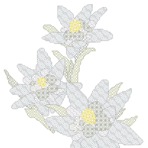 Edelweiss Flower Blackwork Pattern