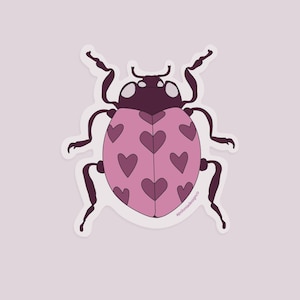 Kawaii Pink Ladybug Sticker | Cute Vinyl Bug Sticker for Water Bottles, Laptops & Journals | Whimsical Insect Sticker | Nature Lover Gift