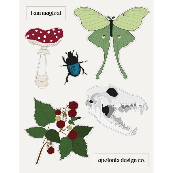 Enchanted Forest Sticker Collection | Adorable Bug Decals for Planners and Journals | Cute Magical Bug Stickers | Vinyl Decals for Kids Room