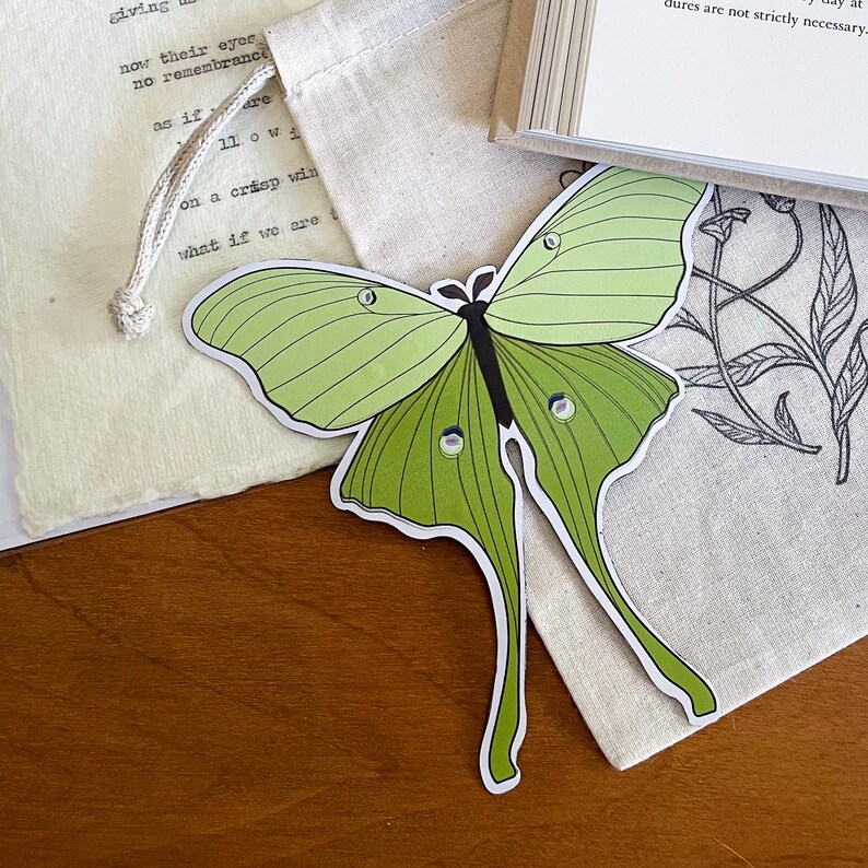 Luna Moth 5x5 Insect Fridge Gift for Etsy