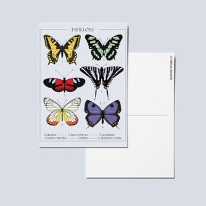 Wunderliche Schmetterlings-Wand-Kunst-Druck Maximalist-Wand-Kunst Botanisches modisches Plakat Retro netter Kawaii ästhetischer Druck Geschenk Mädchenschlafraum-Raum-Dekor