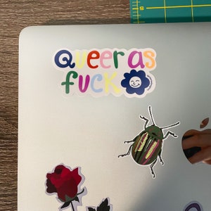 Adesivo Queer as Fuck / Divertente decalcomania dell'orgoglio LGBTQ / 25% dei proventi donati / LGBTQ / Adesivi colorati per laptop gay / Adesivi per diario immagine 4