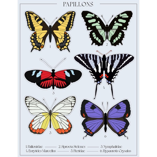 Boho Butterfly Vinyl Stickers | Cute Insect Stickers for Journaling | Unique Laptop & Tumbler Decals | Whimsical Mother’s Day Gift