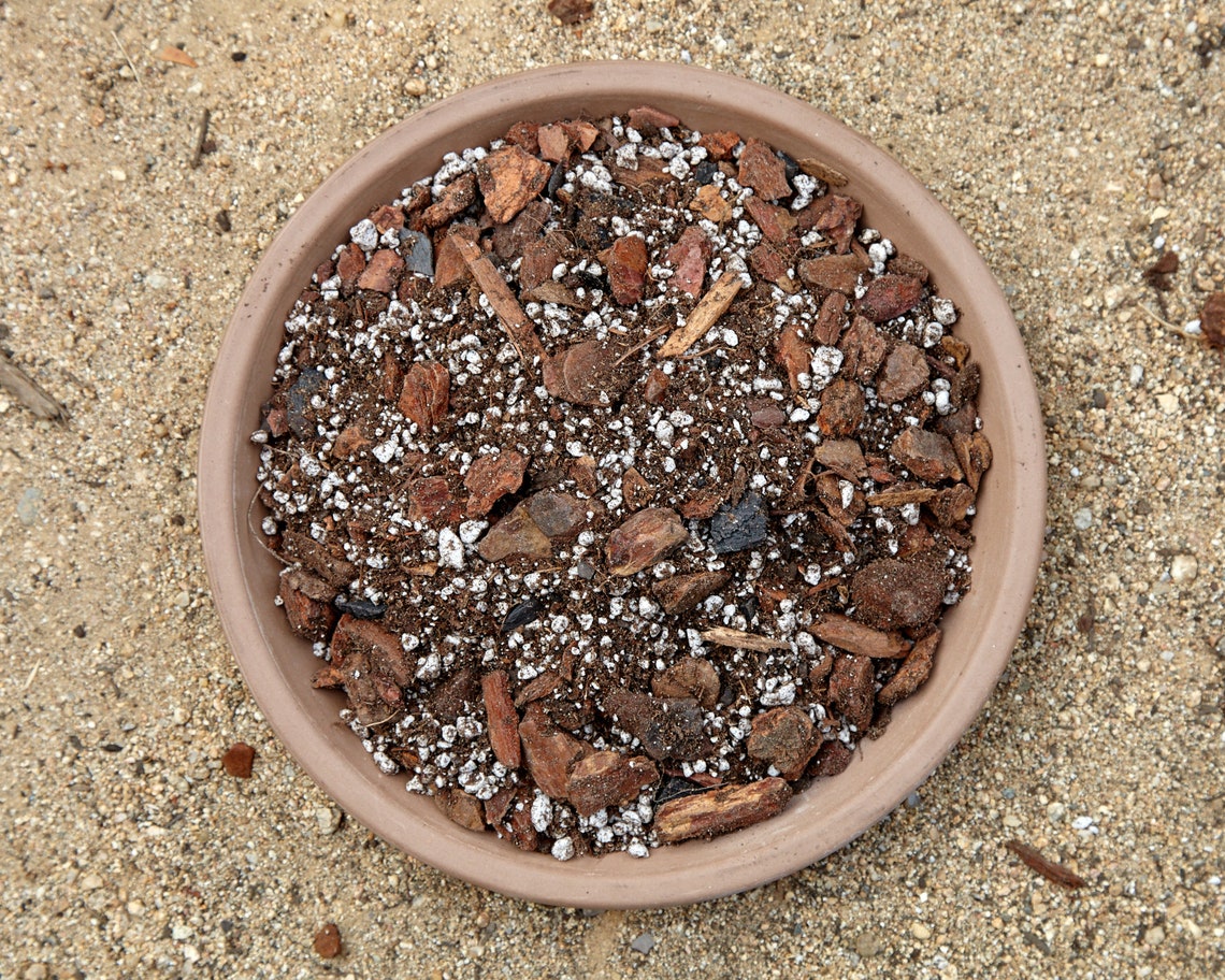 Exotic Specimen Aroid Potting Soil Mix Formulated for all Etsy