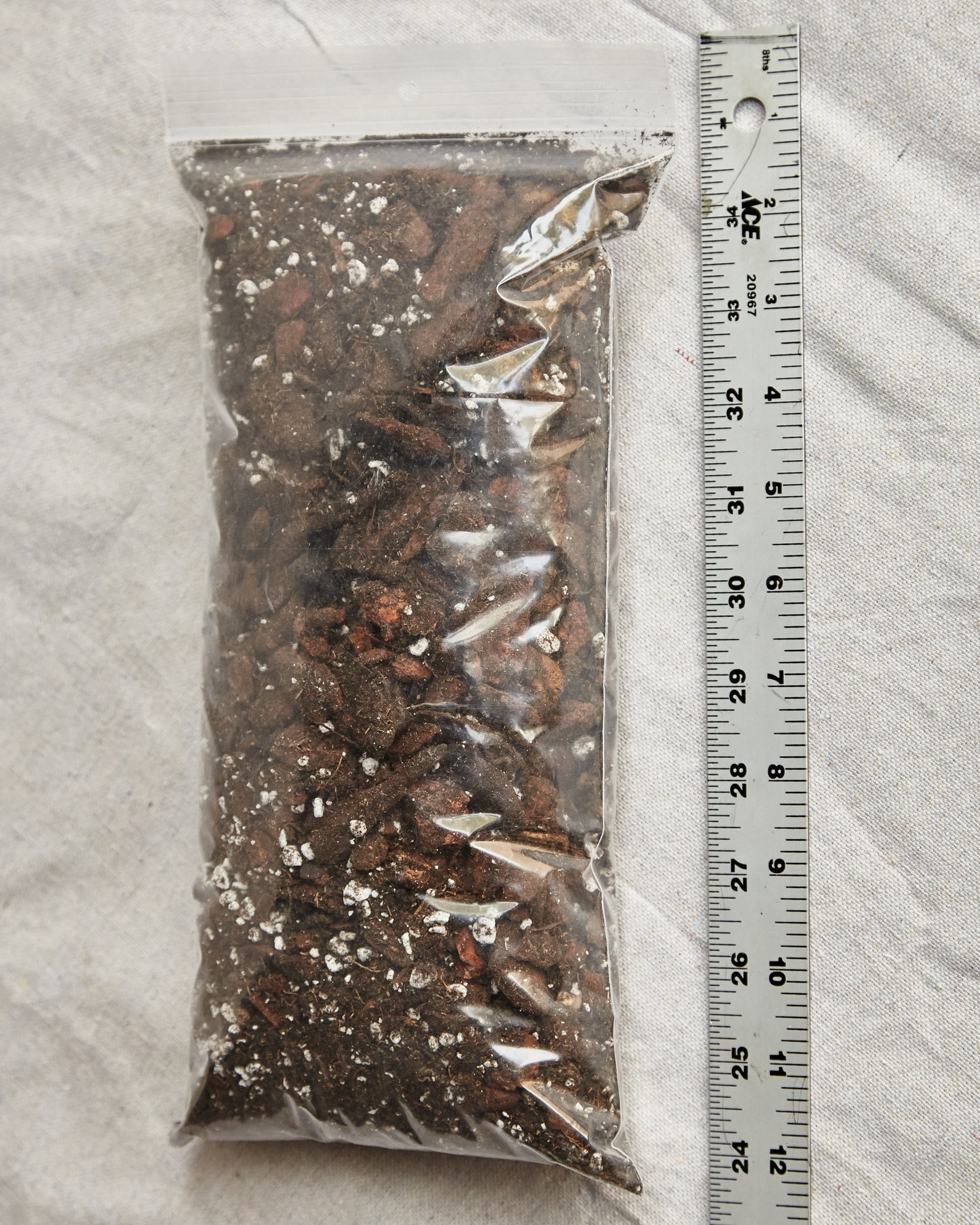 Exotic Specimen Aroid Potting Soil Mix Formulated for all Etsy