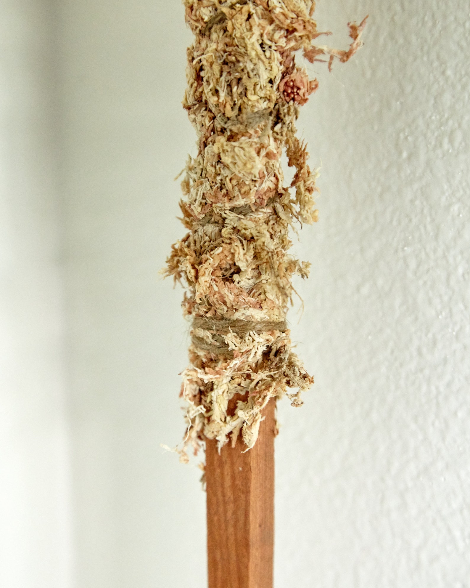 Moss pole Sphagnum moss grow Pole Totem Pole for Aroids and Etsy