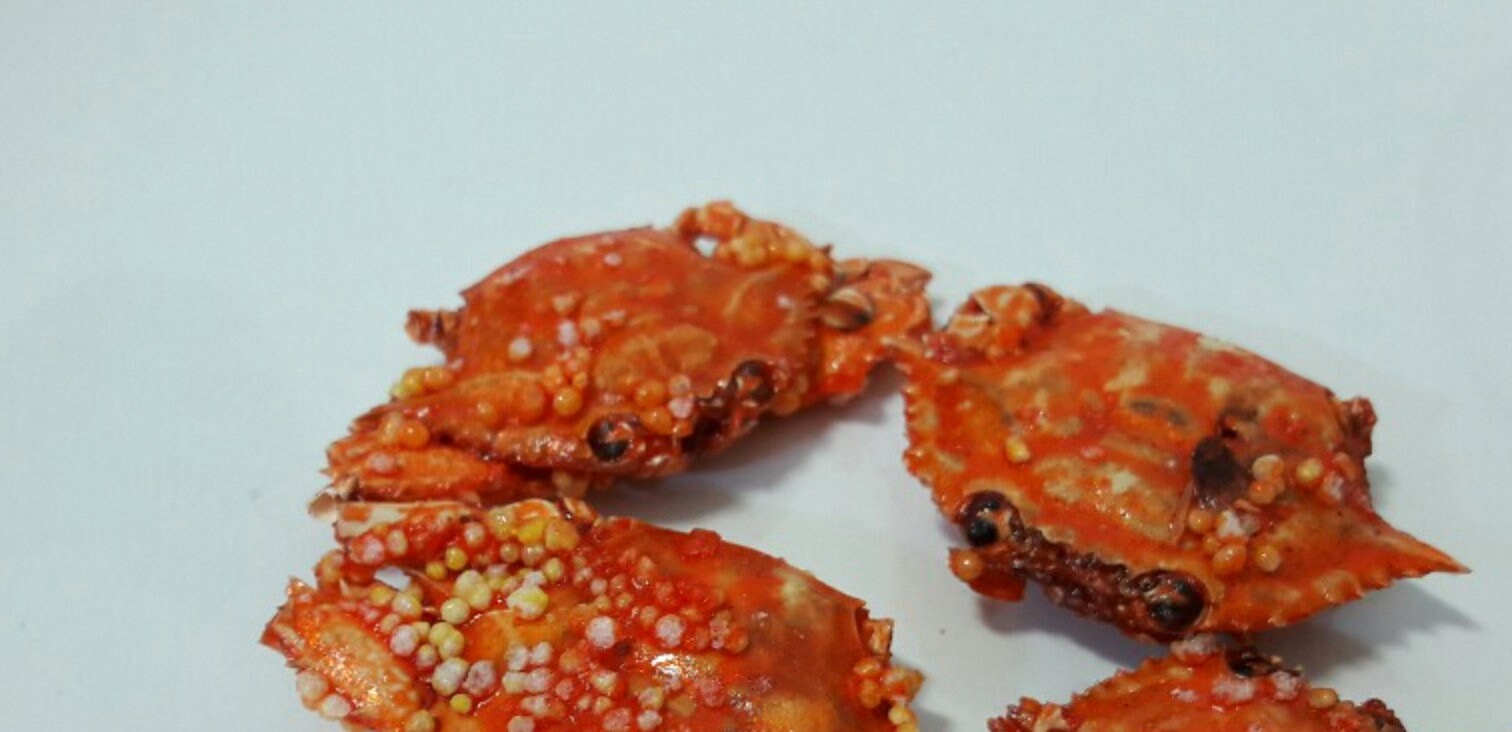 Ready to Eat Baked Japanese Crab Snack Large Sizeoakabe Etsy