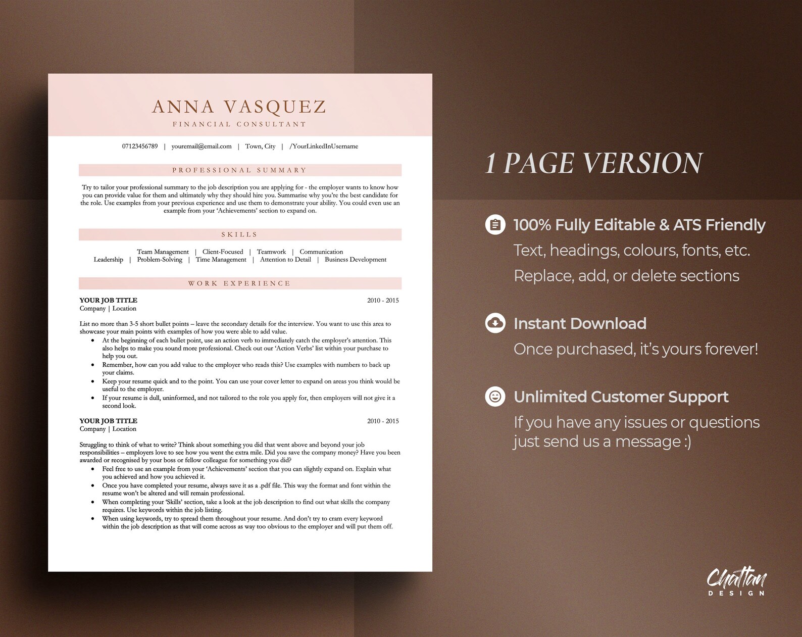 ATS Friendly Resume Template Optimized for Microsoft Word, Mac Pages ...