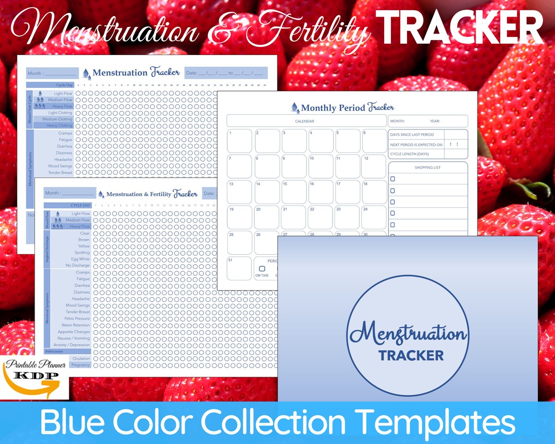 Printable Period and Fertility Tracker Journal Template PDF, Period ...